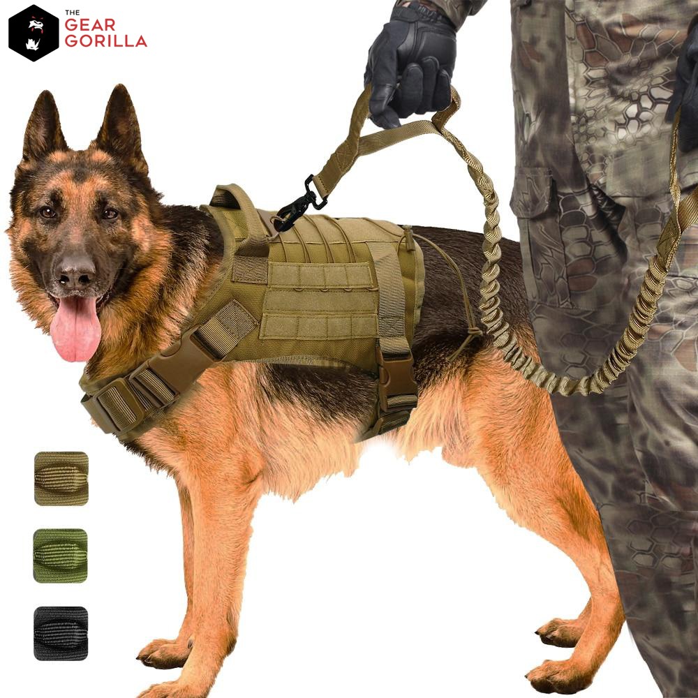 Ad by thegeargorilla.com