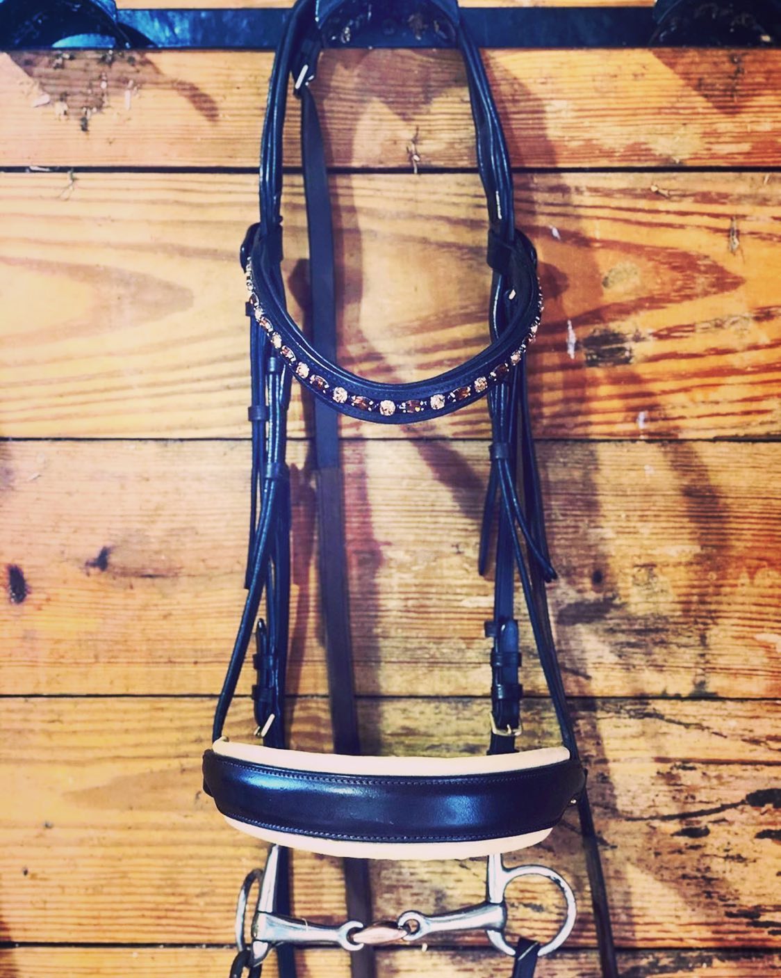 Ad by shophalterego.com