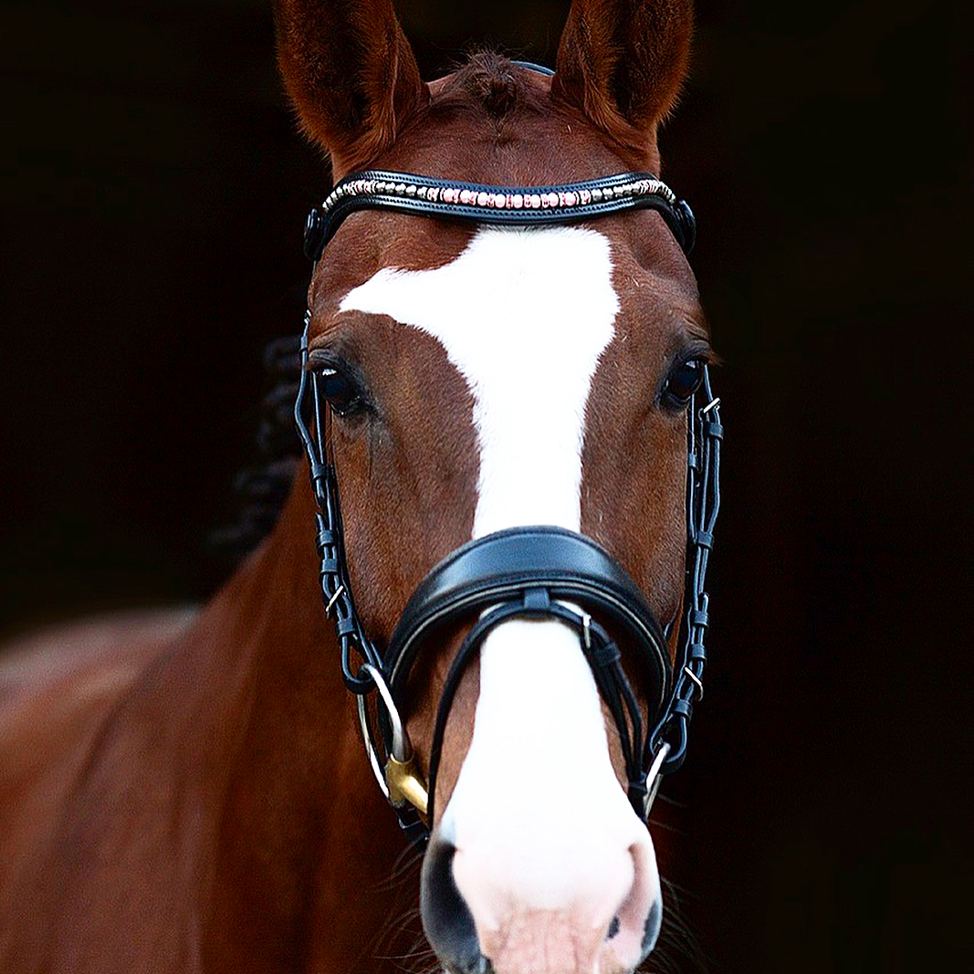 Ad by shophalterego.com