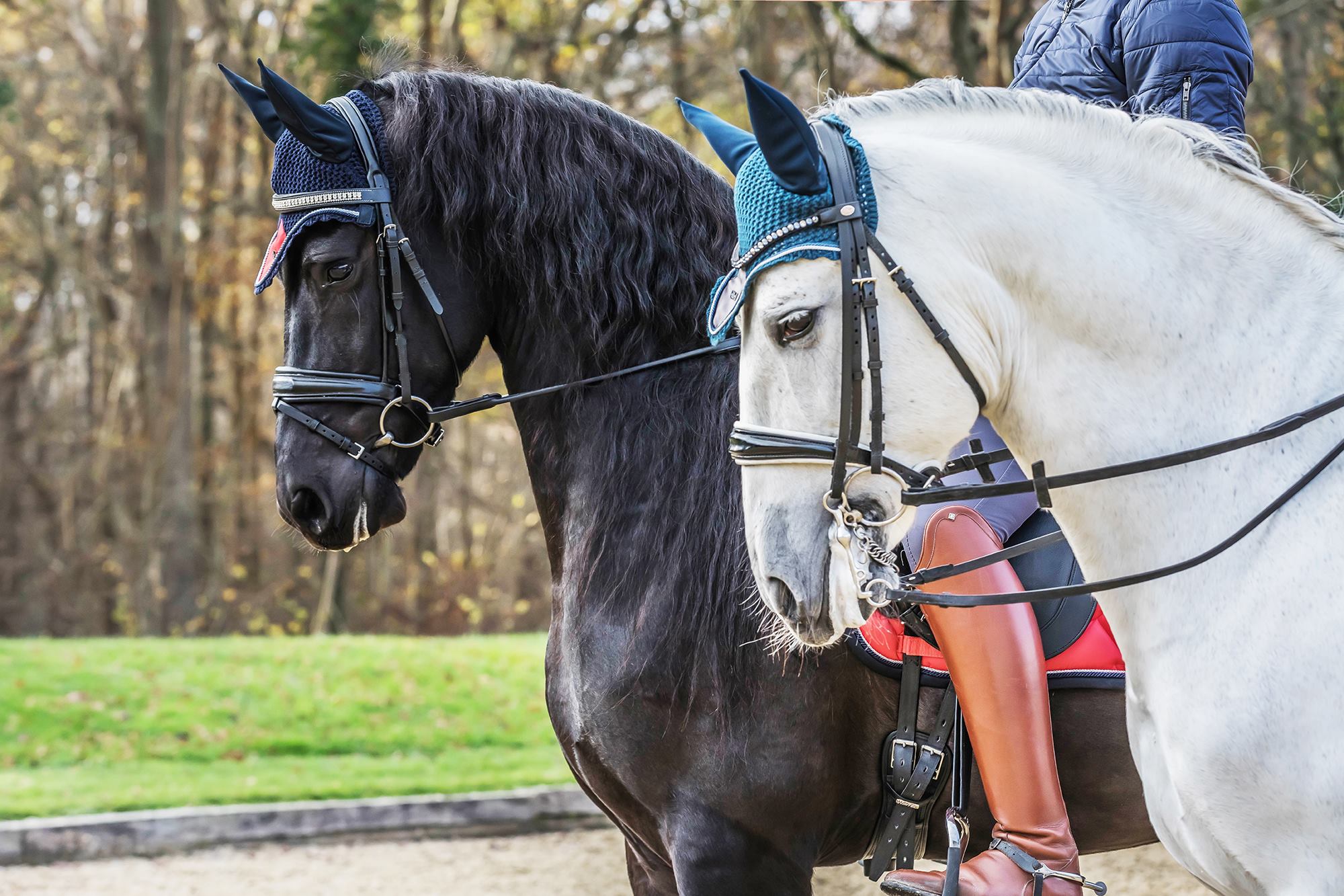 Ad by shophalterego.com