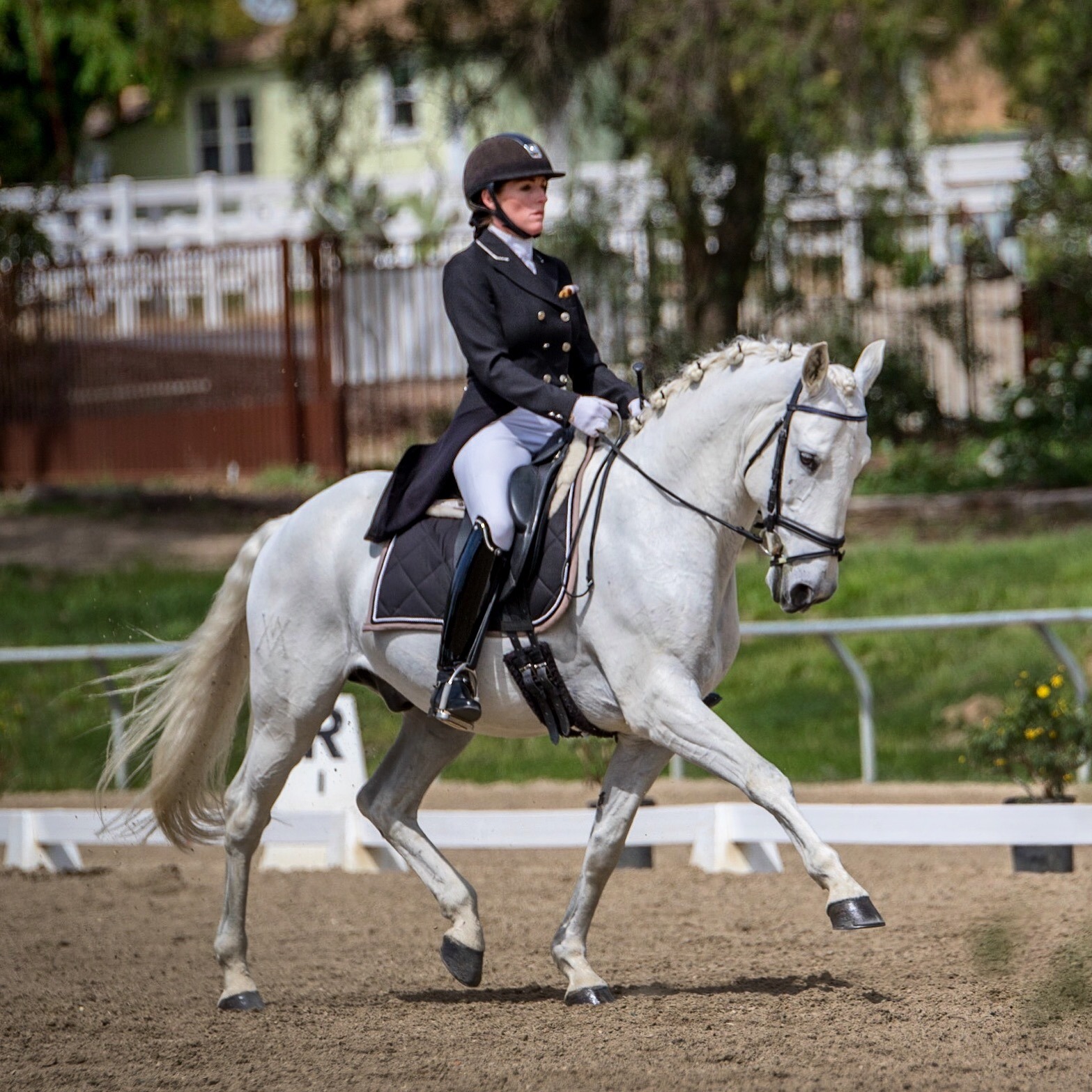 Ad by shophalterego.com