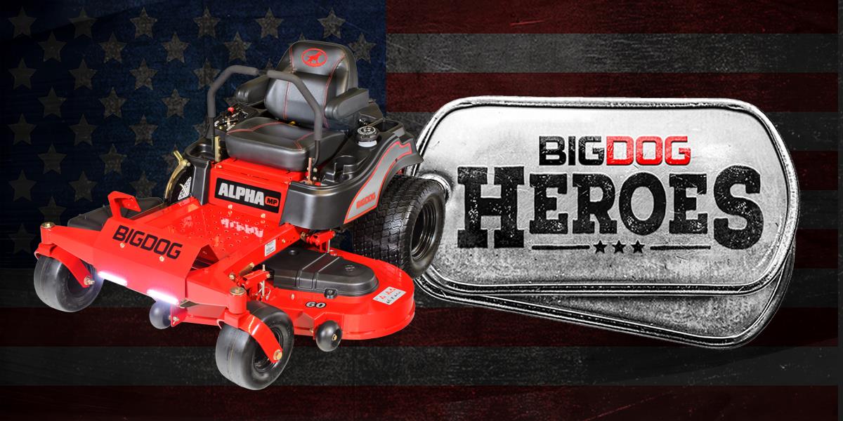 Ad by bigdogbackyard.com