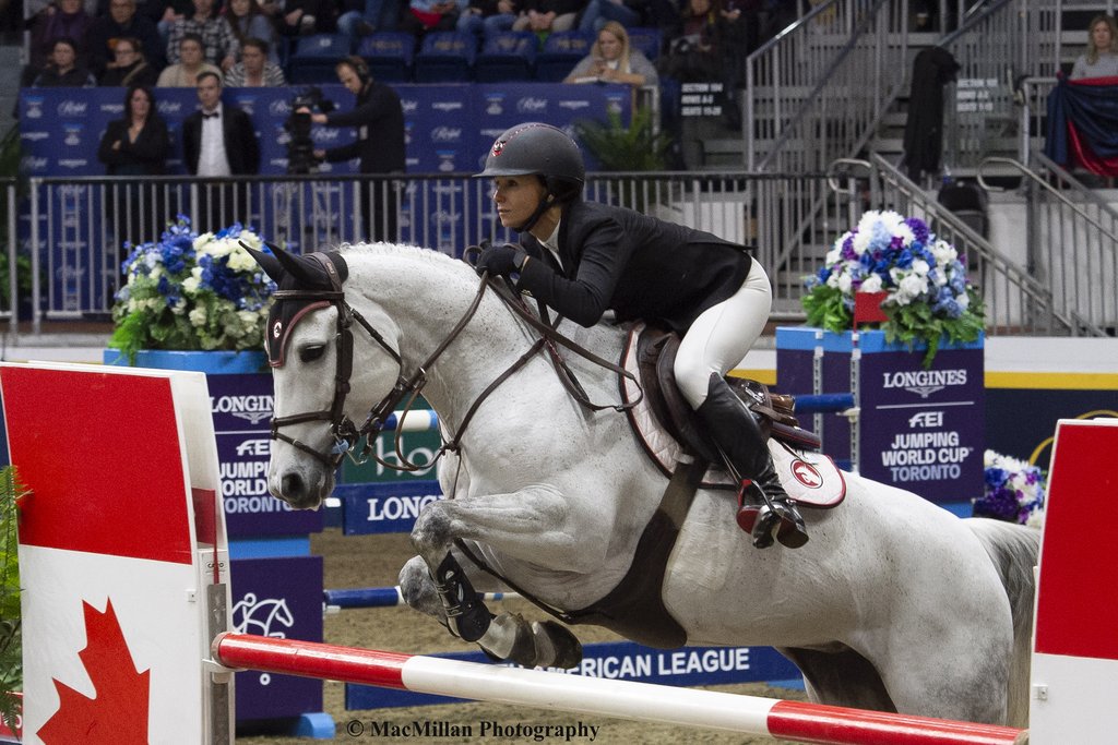 Ad by comfortstall.com