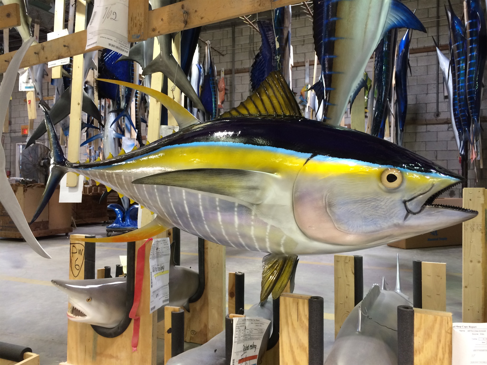 Ad by graytaxidermycrewgear.com