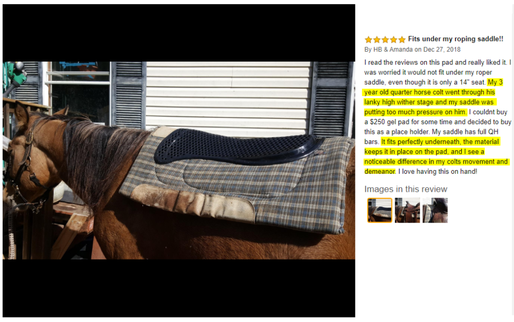 Ad by mykavallerie.com