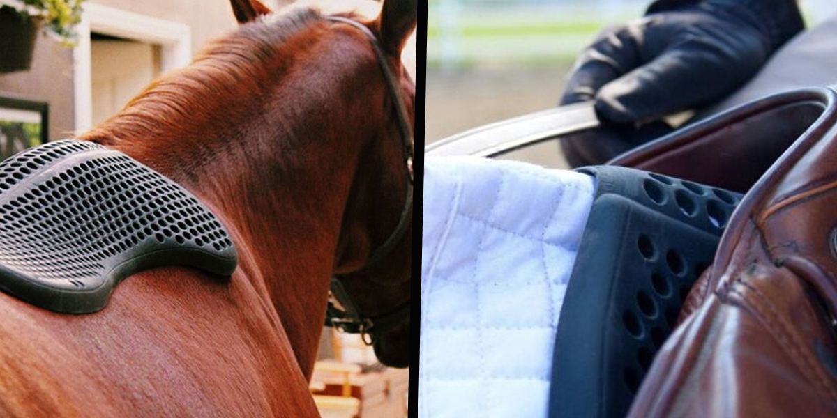 Ad by mykavallerie.com