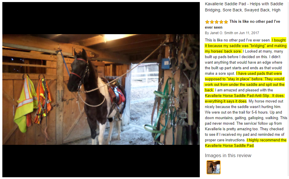 Ad by mykavallerie.com