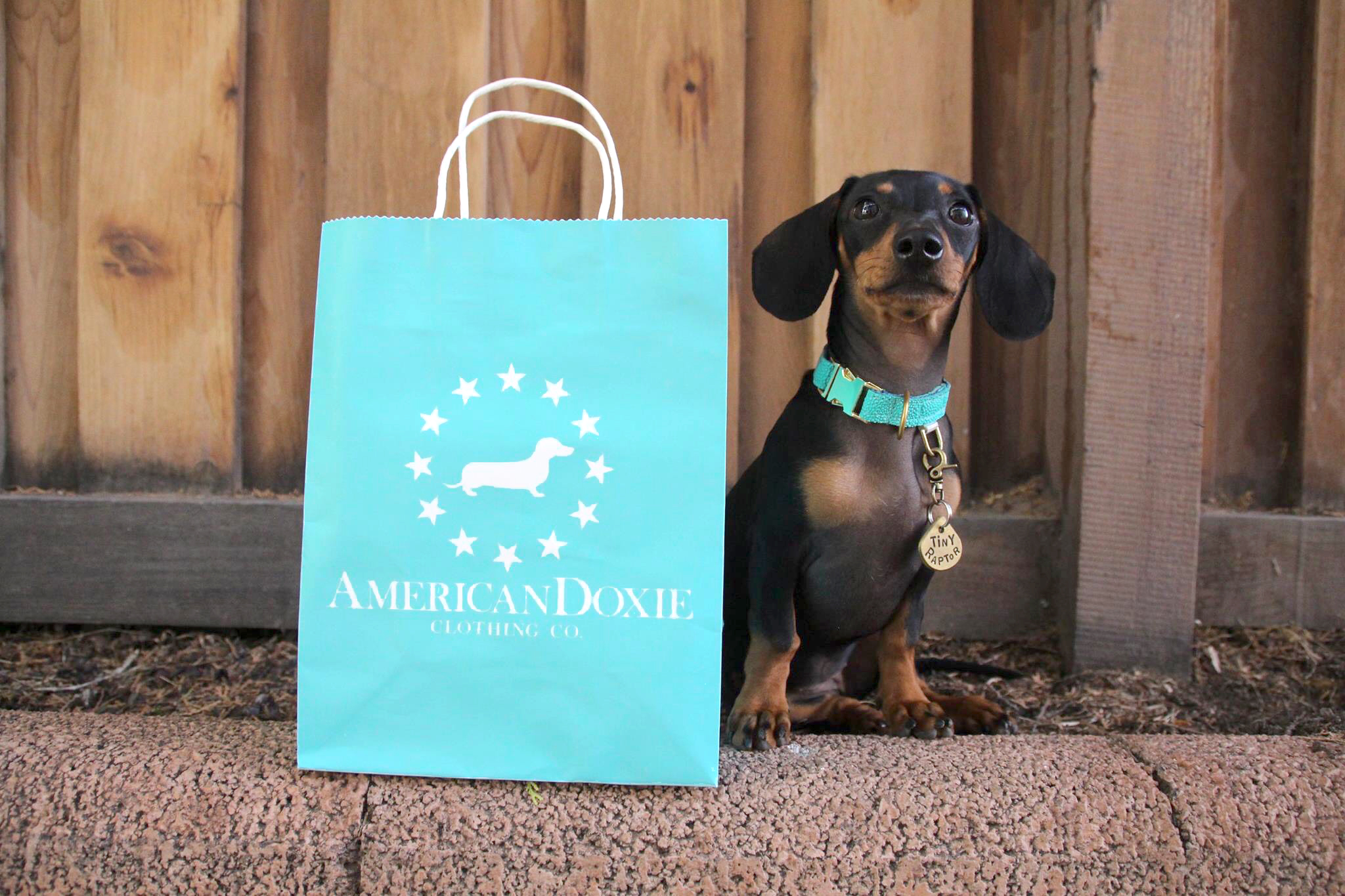 Ad by americandoxie.com