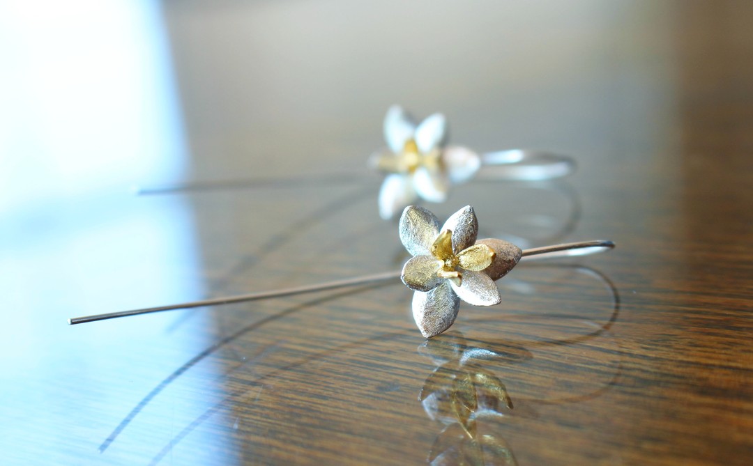 Ad by arialattner.com