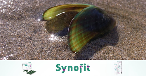 Ad by synofitusa.com