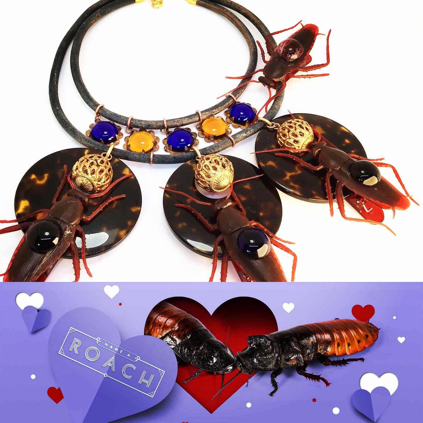 Ad by sumaris.com