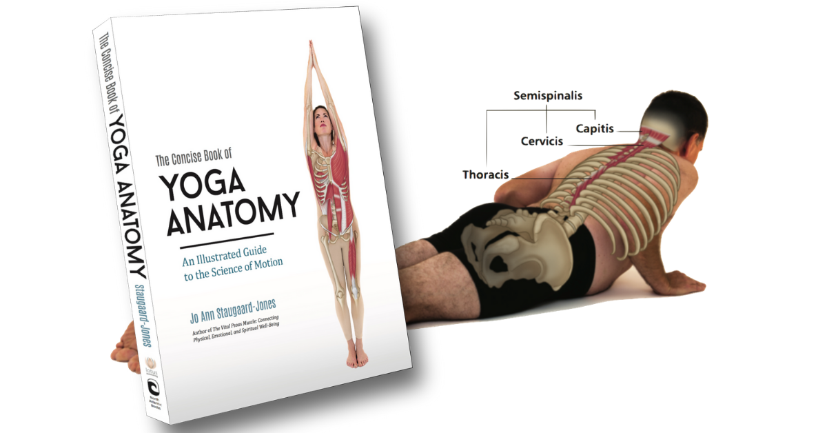 Ad by frozenshoulder.com