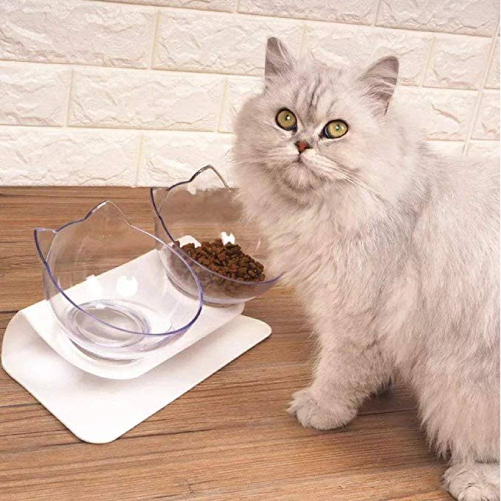 Ad by jaime-vraiment-chat.com