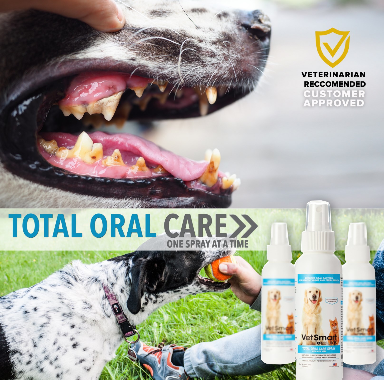 Ad by petwellnessdirect.com