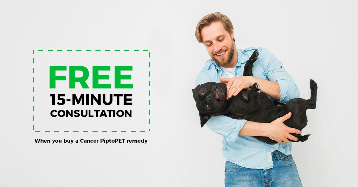 Ad by homeoanimo.com