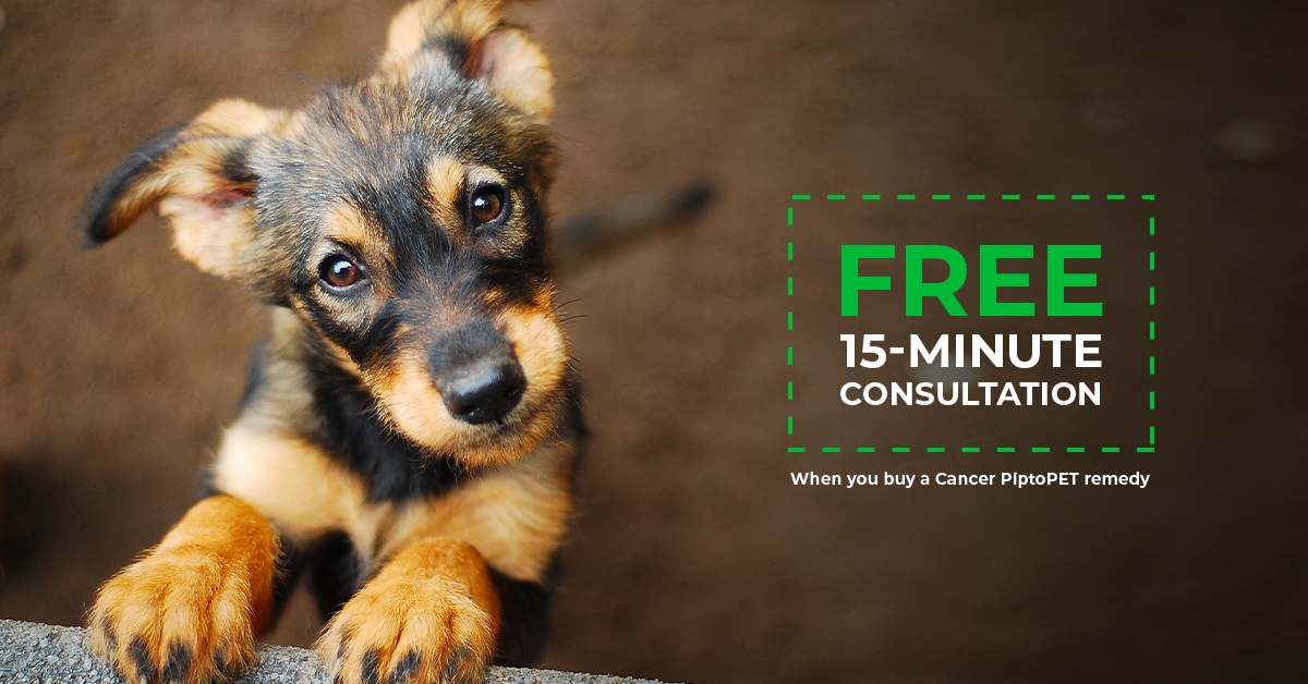 Ad by homeoanimo.com