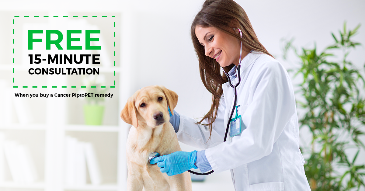 Ad by homeoanimo.com