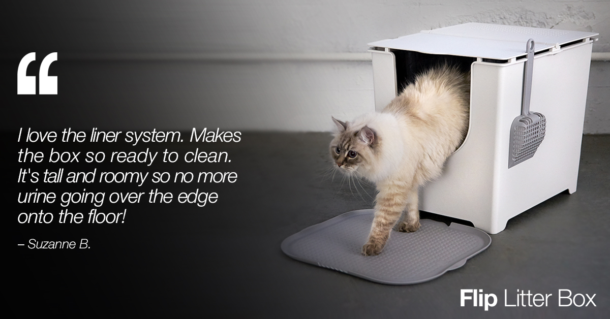 Ad by modko.com