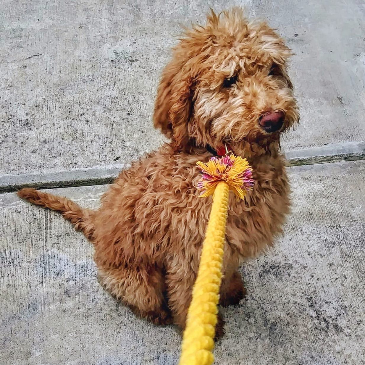 Ad by sleepycotton.com