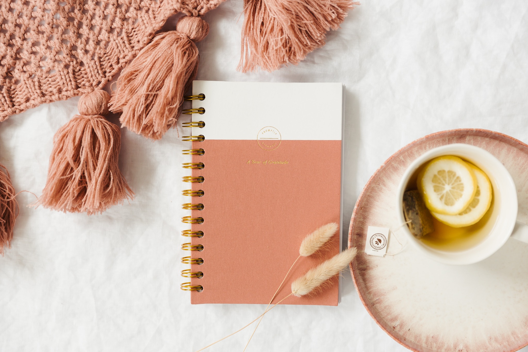 Ad by promptlyjournals.com