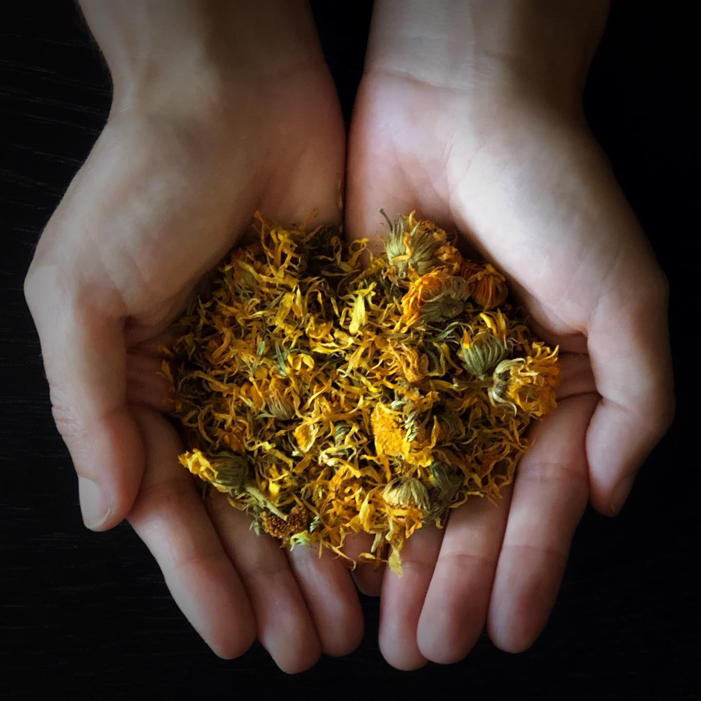 Ad by ouroborosherbals.com