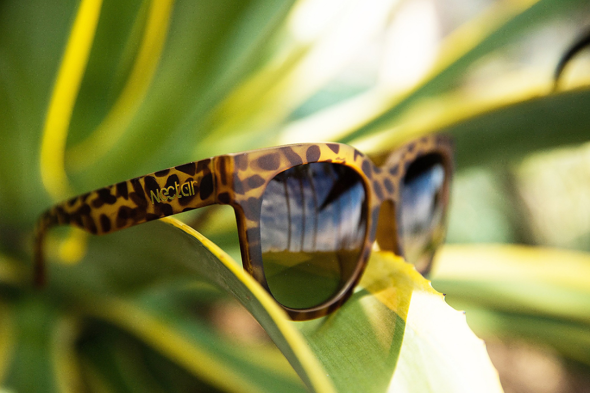 Ad by nectarofficial.com