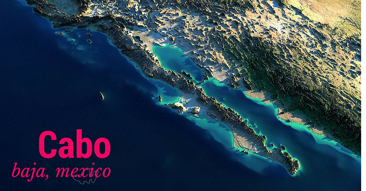 Ad by minisimmon.com