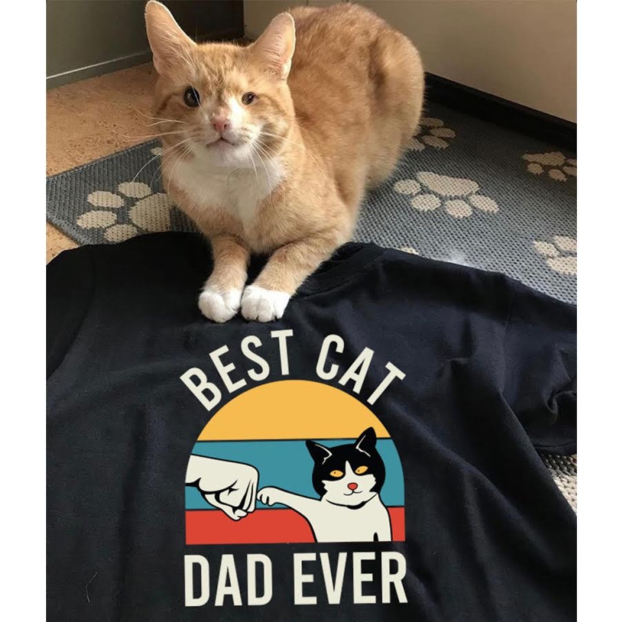 Ad by mealsforpets.com