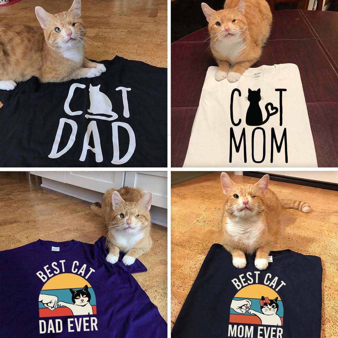 Ad by mealsforpets.com