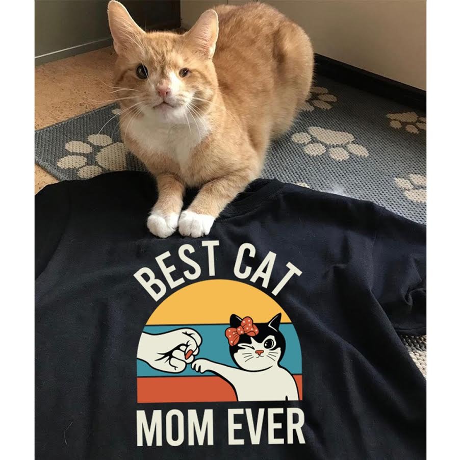 Ad by mealsforpets.com