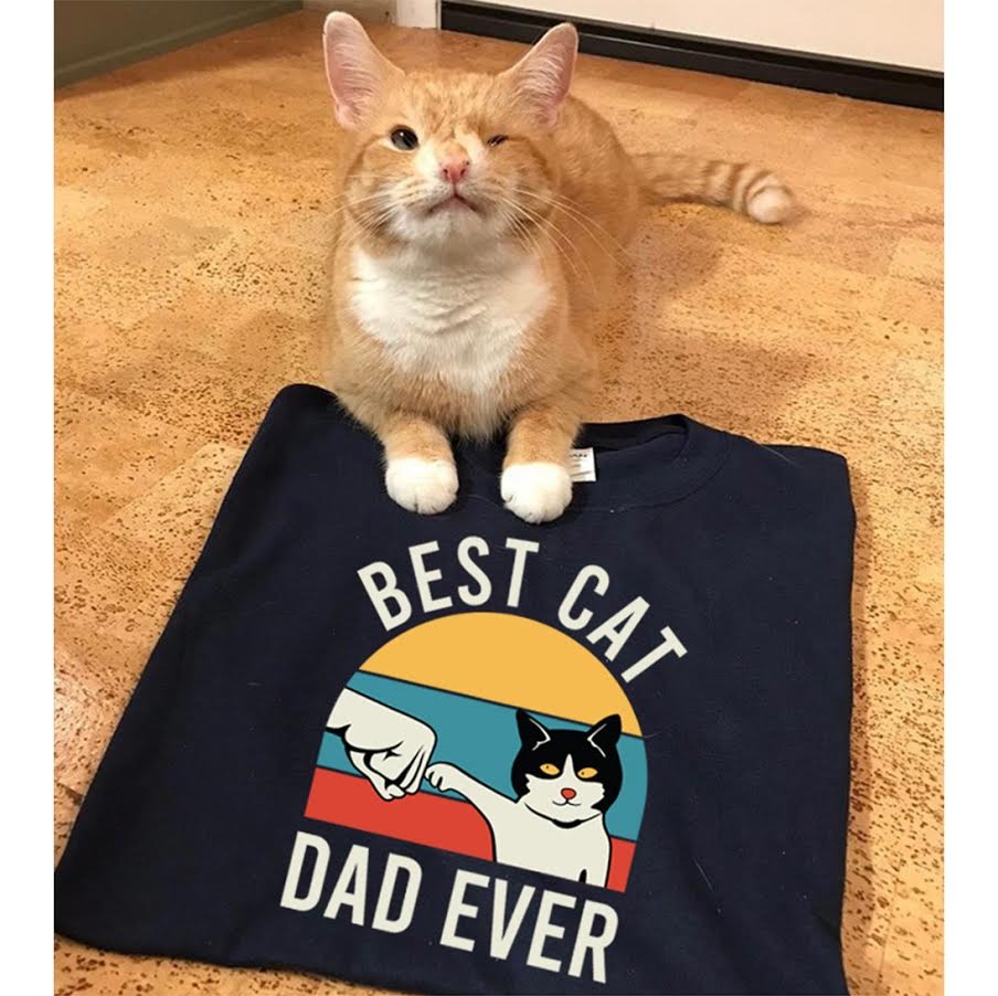 Ad by mealsforpets.com