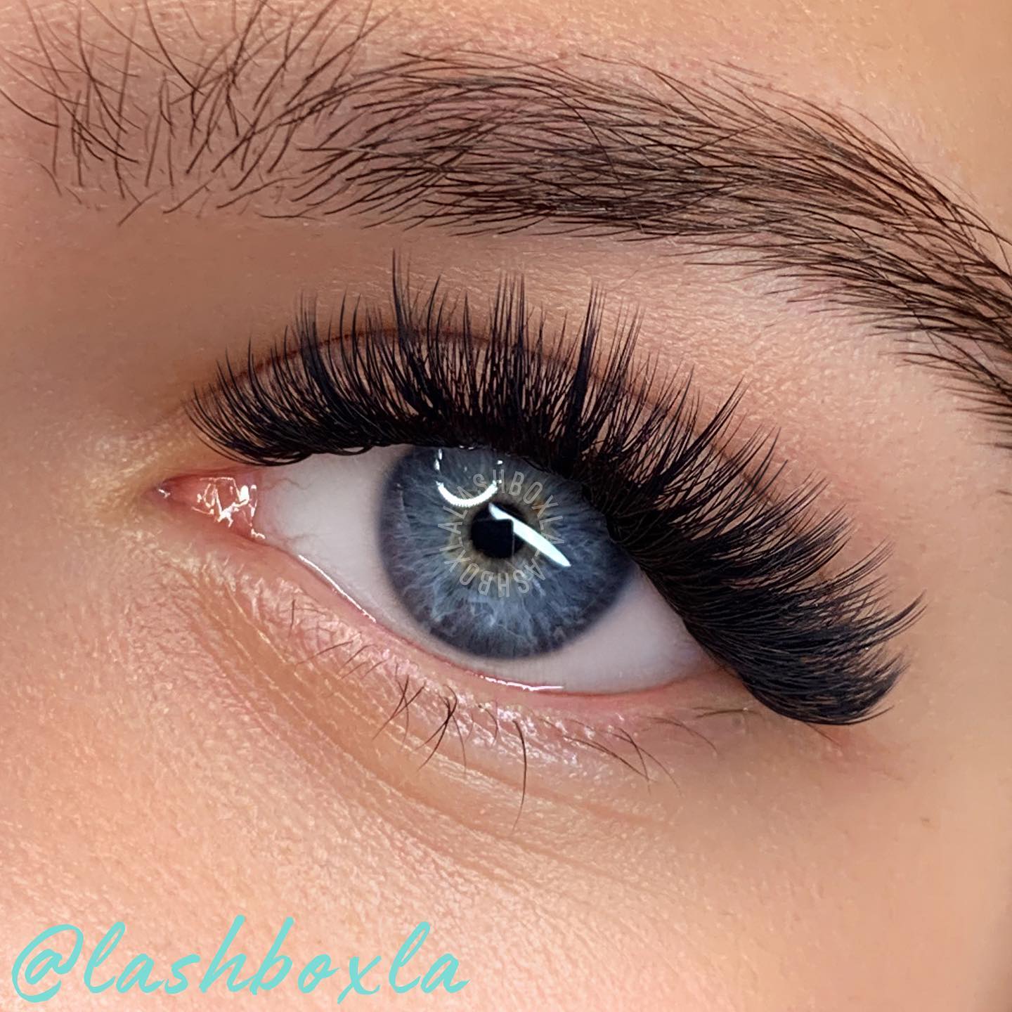 Ad by lashboxlacanada.com