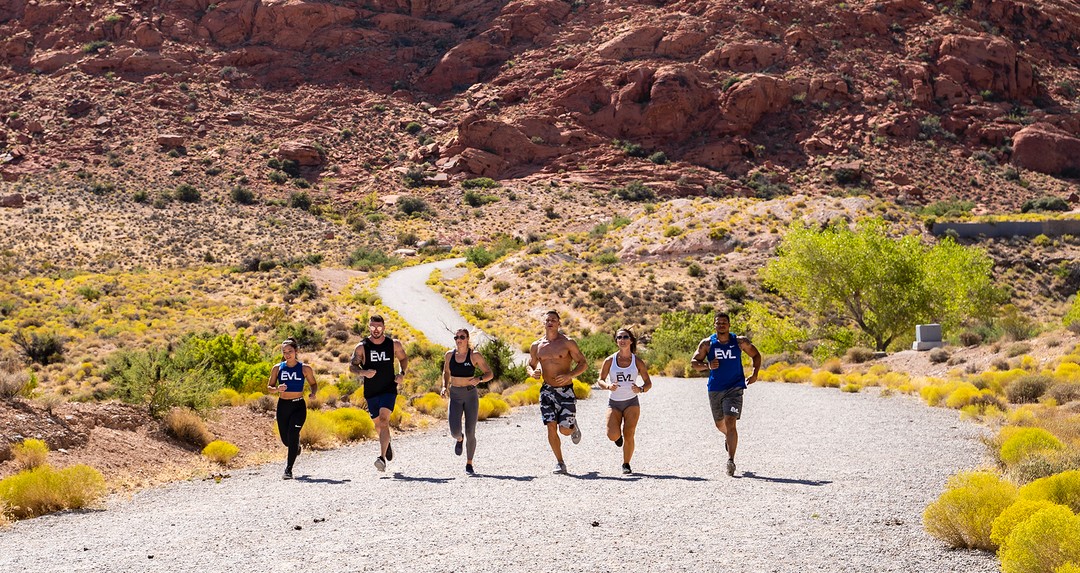 Ad by evlsupplements.com