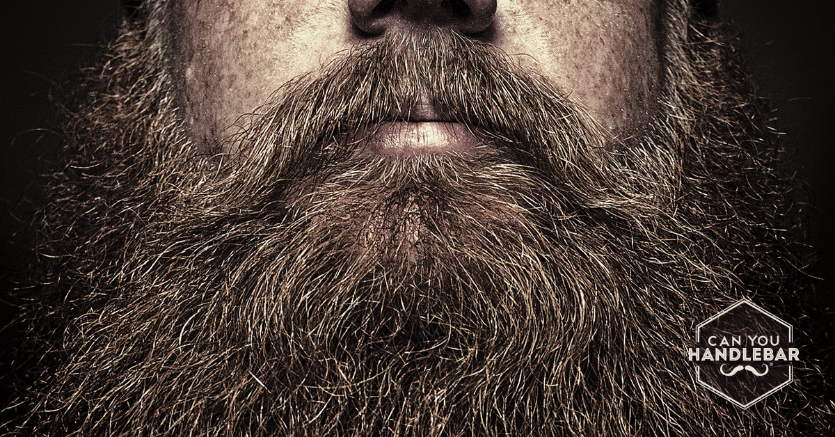 Ad by canyouhandlebar.com