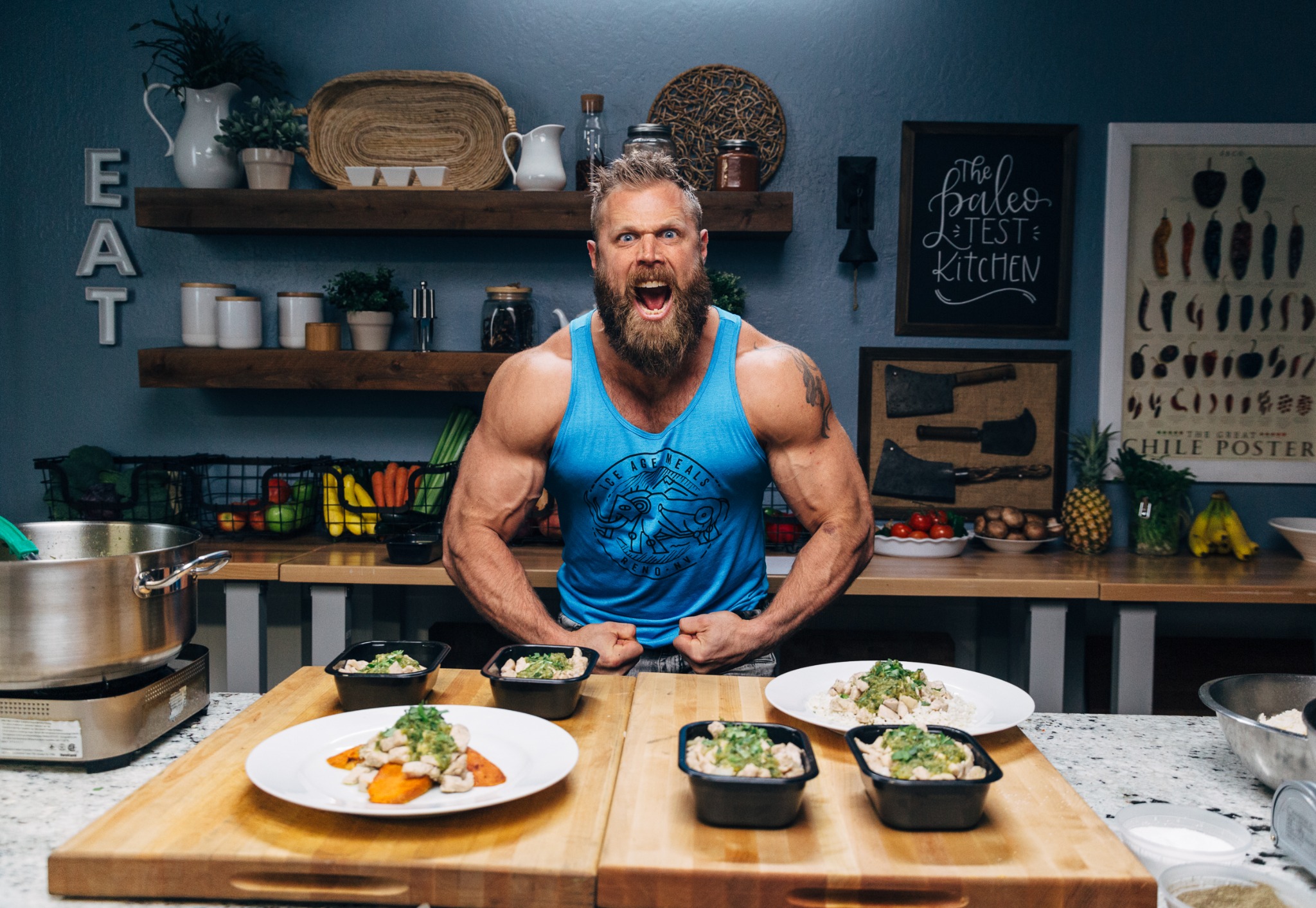 Ad by iceagemeals.net