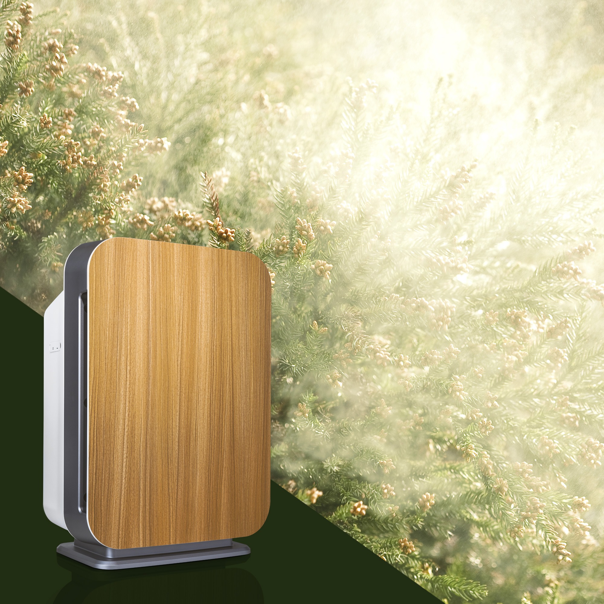 Ad by alencorporation.com