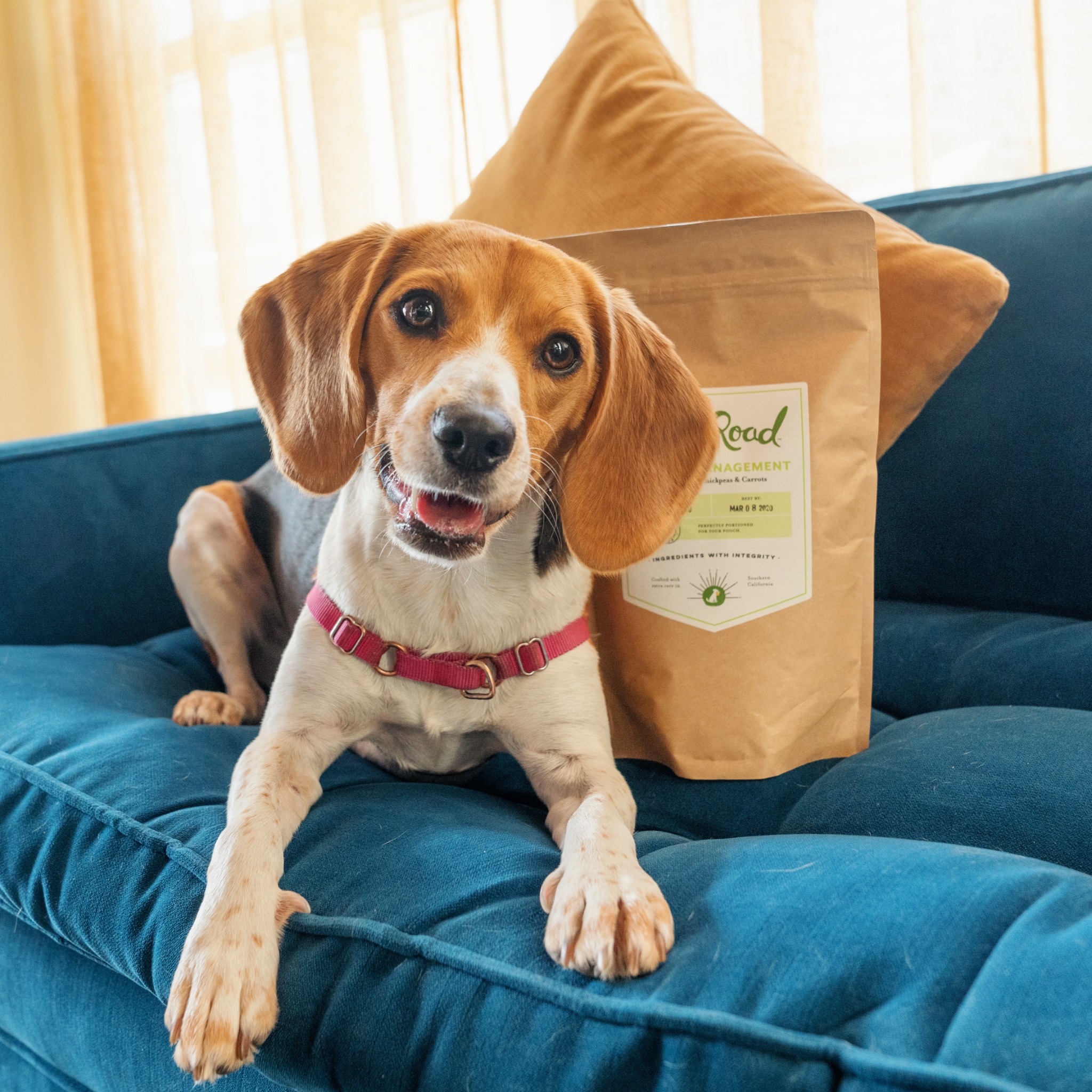 Ad by newroadfoods.com