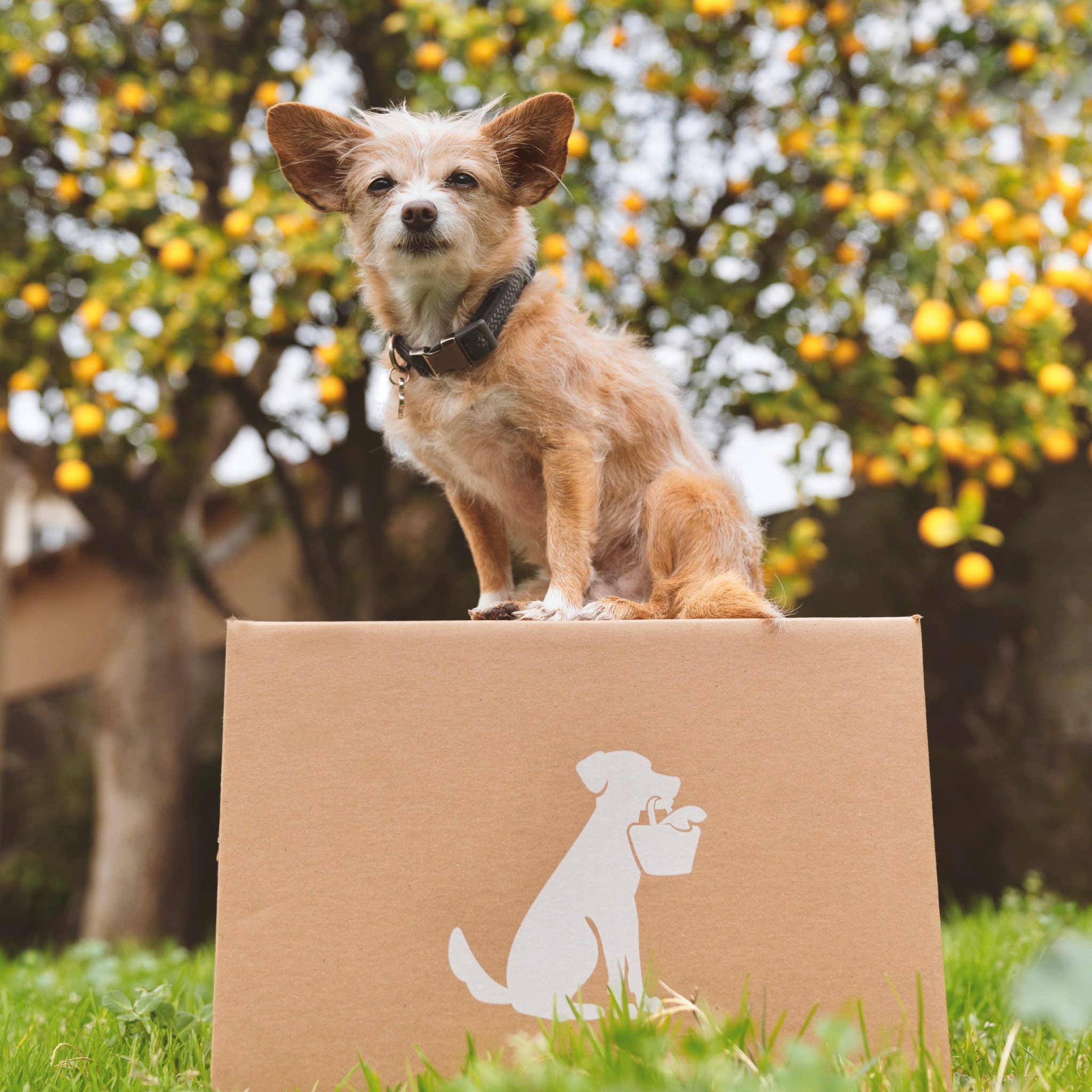 Ad by newroadfoods.com