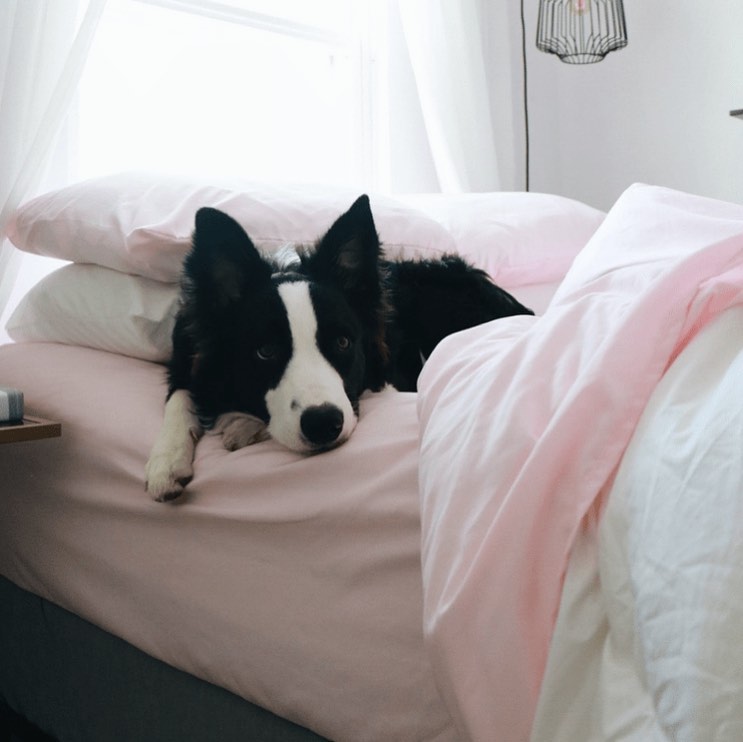 Ad by peachskincomfort.net