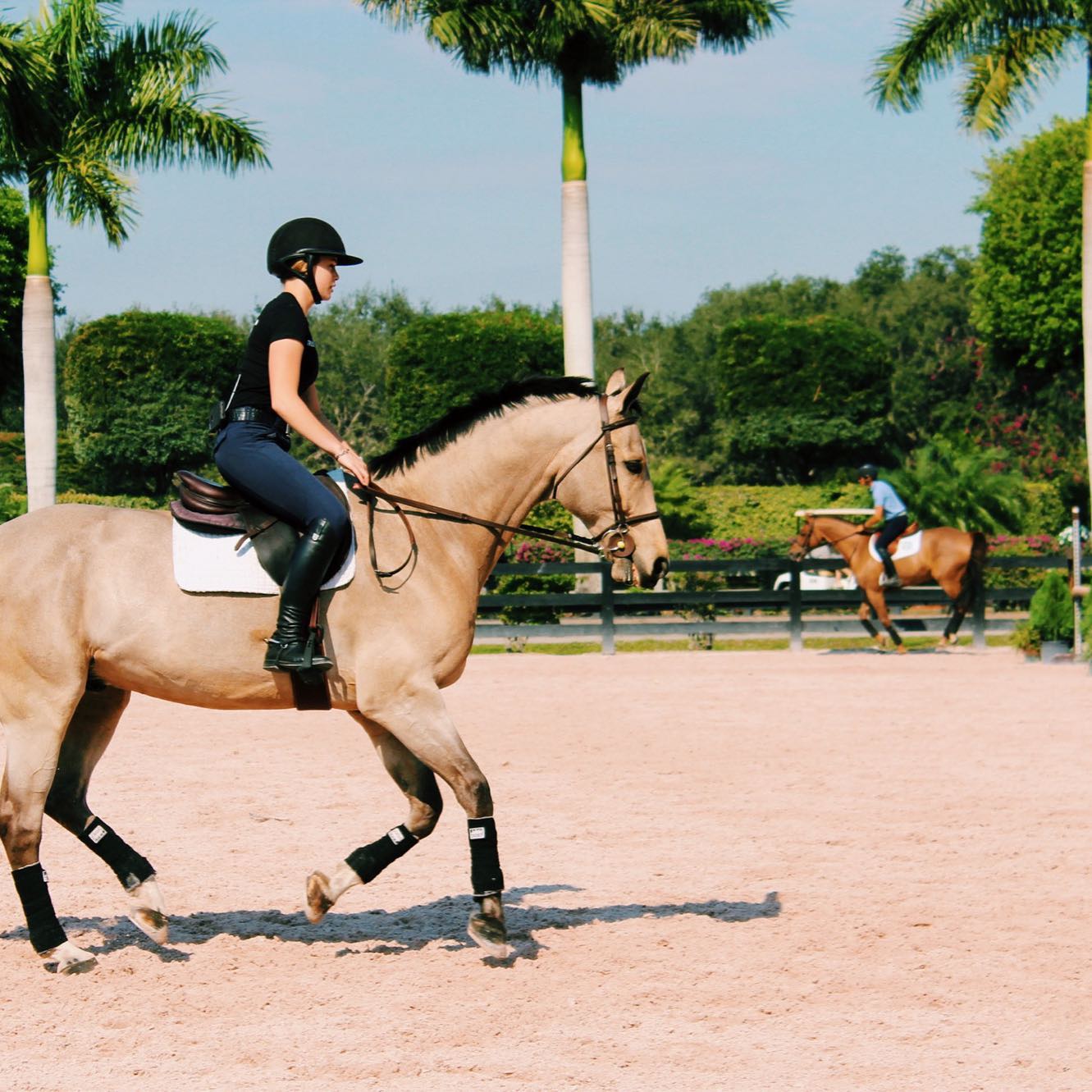 Ad by thefitequestrian.com