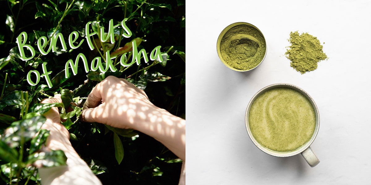 Ad by your-superfoods.myshopify.com