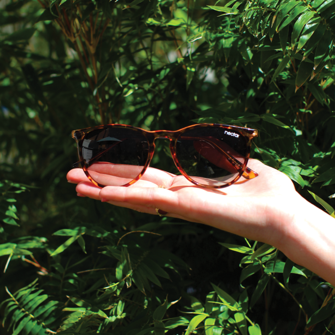 Ad by nectarsunglasses.com