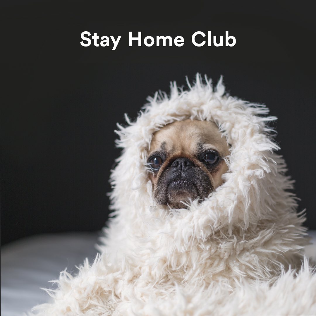 Ad by gosummersalt.com