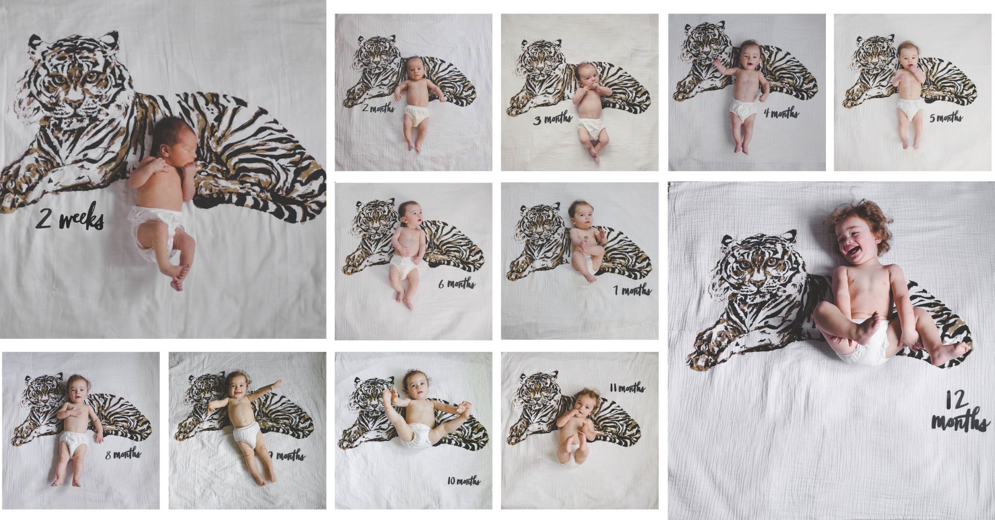 Ad by babyjivesco.com