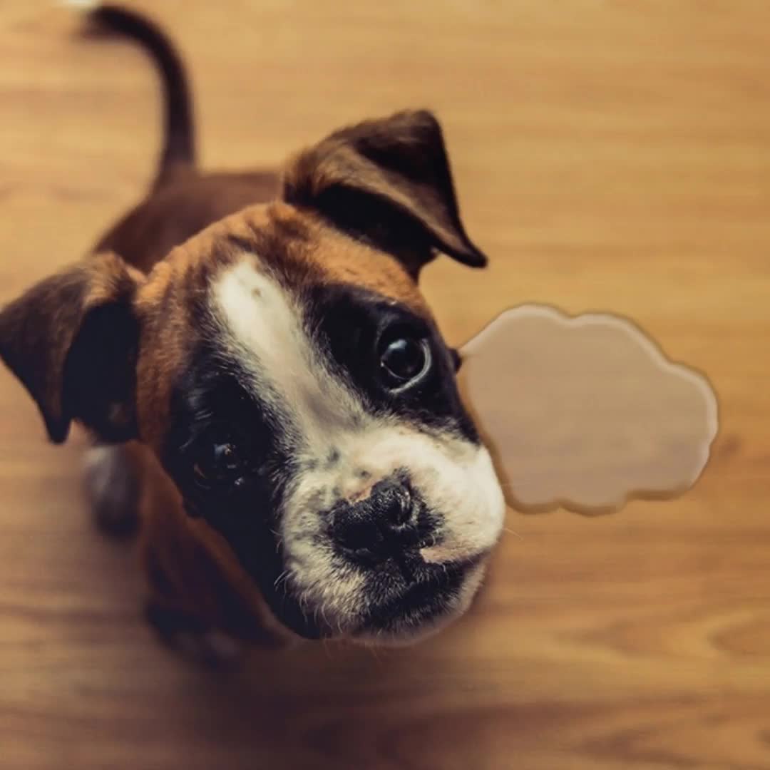 Ad by buyfurryfreshness.com