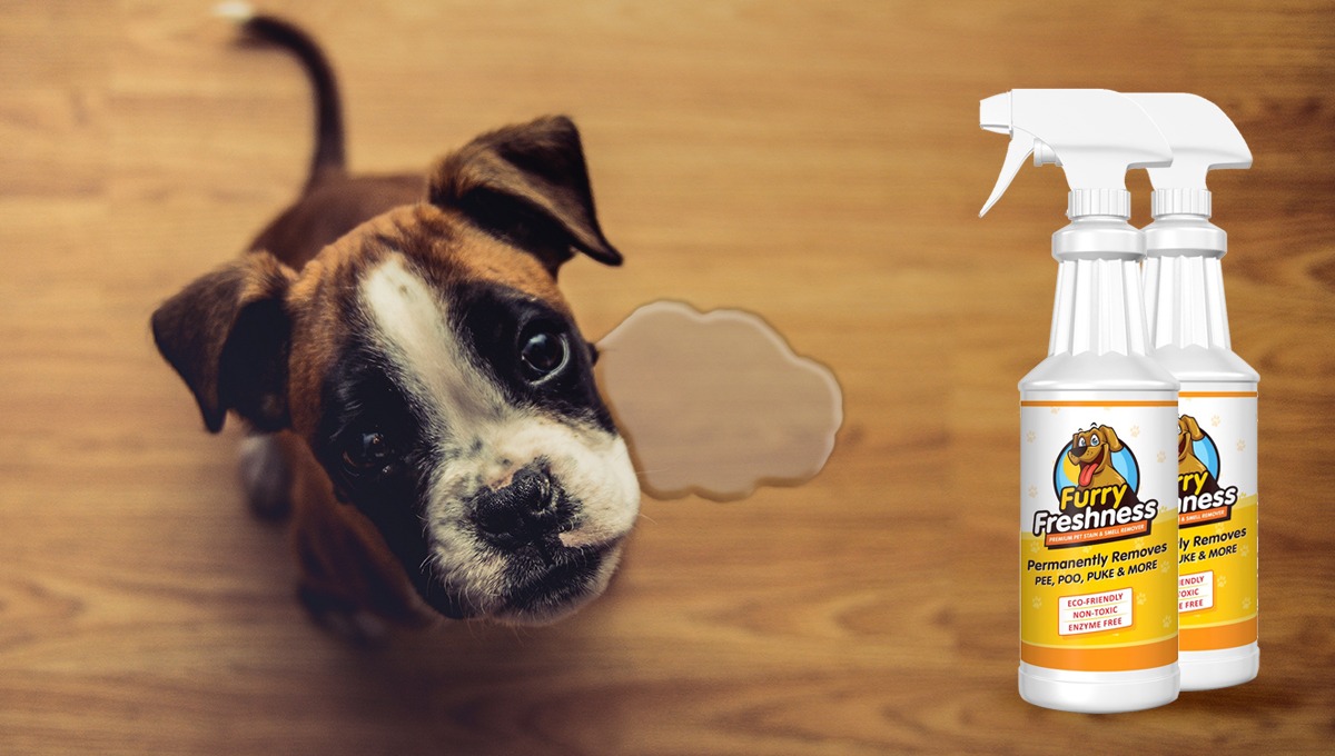 Ad by buyfurryfreshness.com