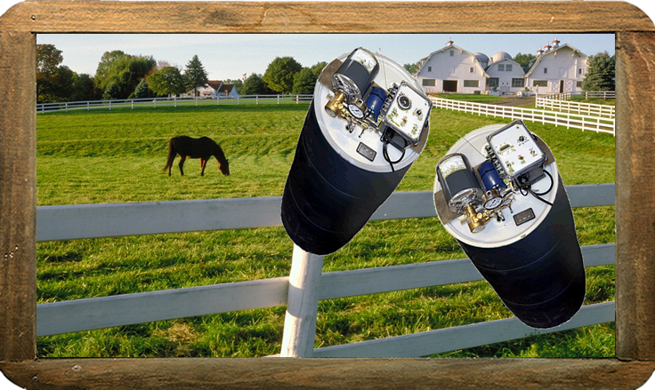 Ad by deadflyzone.com