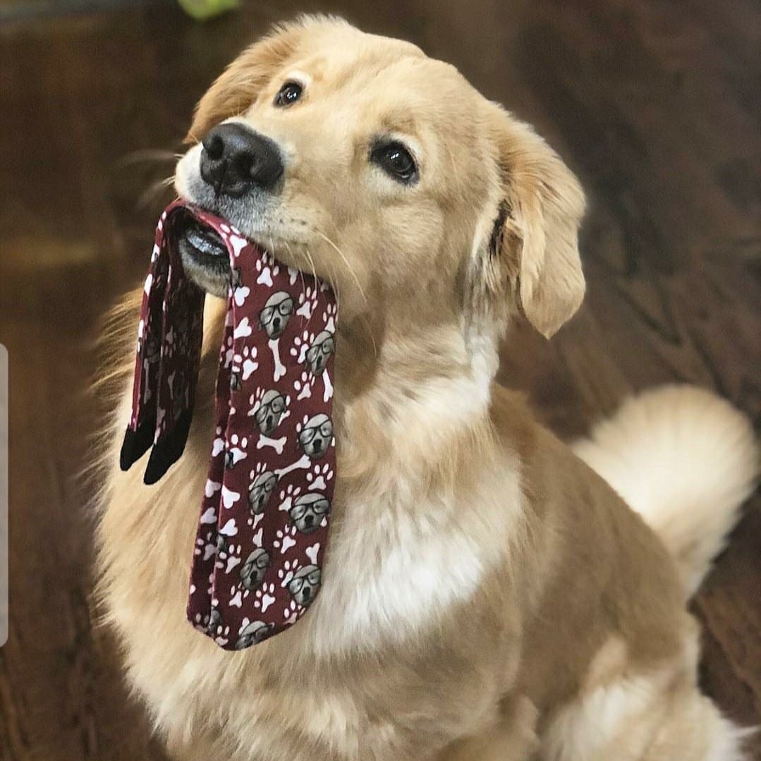 Ad by tailthreads.com