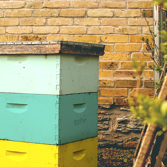 Ad by singlesourcehoney.com