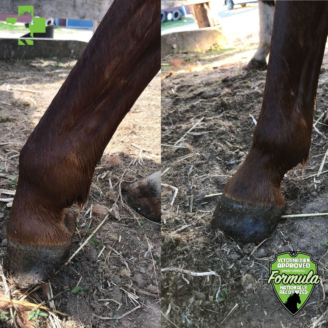 Ad by nomoresore.com